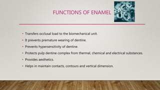 FUNCTIONS OF ENAMEL
• Transfers occlusal load to the biomechanical unit.
• It prevents premature wearing of dentine.
• Prevents hypersensitivity of dentine.
• Protects pulp dentine complex from thermal, chemical and electrical substances.
• Provides aesthetics.
• Helps in maintain contacts, contours and vertical dimension.
 
