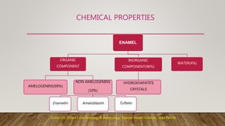 CHEMICAL PROPERTIES
ENAMEL
ORGANIC
COMPONENT
AMELOGENINS(90%)
NON AMELOGENINS
(10%)
Enamelin Ameloblastin Tuftelin
INORGANIC
COMPONENT(96%)
HYDROXYAPATITE
CRYSTALS
WATER(4%)
Kumar GS. Orban's oral histology & embryology. Elsevier Health Sciences; 2014 Feb 10.
 