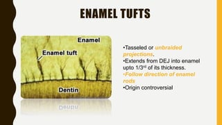 Enamel the basic! | PPTX