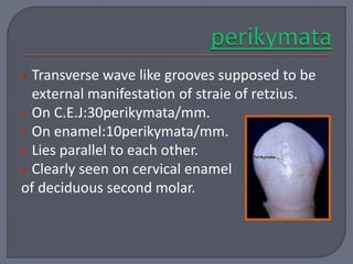 Enamel.pptx