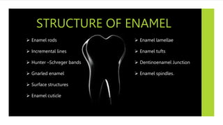 STRUCTURE OF ENAMEL
 Enamel lamellae
 Enamel tufts
 Dentinoenamel Junction
 Enamel spindles.
 Enamel rods
 Incremental lines
 Hunter –Schreger bands
 Gnarled enamel
 Surface structures
 Enamel cuticle
 
