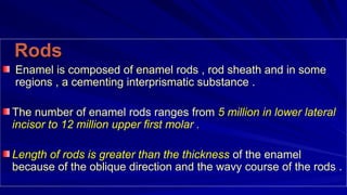 ENAMEL & Physical characteristic and development ppt | PPT