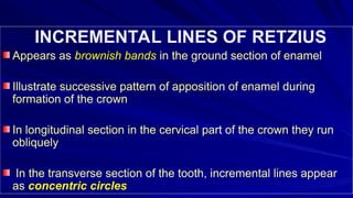 Tooth Retzius ENAMEL & Physical characteristic and development ppt | PPT
