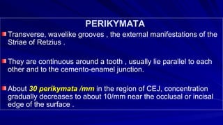 ENAMEL & Physical characteristic and development ppt | PPT