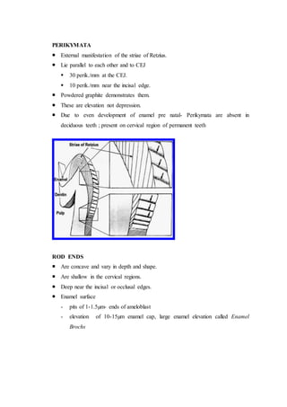 PERIKYMATA
 External manifestation of the striae of Retzius.
 Lie parallel to each other and to CEJ
 30 perik./mm at the CEJ.
 10 perik./mm near the incisal edge.
 Powdered graphite demonstrates them.
 These are elevation not depression.
 Due to even development of enamel pre natal- Perikymata are absent in
deciduous teeth ; present on cervical region of permanent teeth
ROD ENDS
 Are concave and vary in depth and shape.
 Are shallow in the cervical regions.
 Deep near the incisal or occlusal edges.
 Enamel surface
- pits of 1-1.5µm- ends of ameloblast
- elevation of 10-15µm enamel cap, large enamel elevation called Enamel
Brochs
 