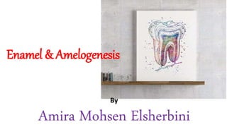 Enamel & Amelogenesis
By
Amira Mohsen Elsherbini
 