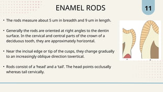 Interlocking Enamel Rods enamel and its age changes (1)......pptx