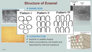 Interlocking Enamel Rods Enamel _ Ashel _ up . pptx | PPTX