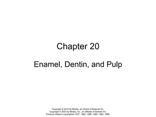Chapter 20
Enamel, Dentin, and Pulp
Copyright © 2014 by Mosby, an imprint of Elsevier Inc.
Copyright © 2003 by Mosby, Inc., an affiliate of Elsevier Inc.
Previous editions copyrighted 1977, 1982, 1986, 1990, 1994, 1998.
 