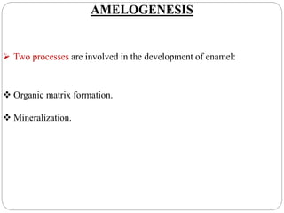 AMELOGENESIS
 Two processes are involved in the development of enamel:
 Organic matrix formation.
 Mineralization.
 