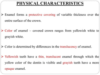 PHYSICAL CHARACTERISTICS
 Enamel forms a protective covering of variable thickness over the
entire surface of the crown.
 Color of enamel – covered crown ranges from yellowish white to
grayish white.
 Color is determined by differences in the translucency of enamel.
 Yellowish teeth have a thin, translucent enamel through which the
yellow color of the dentin is visible and grayish teeth have a more
opaque enamel.
 