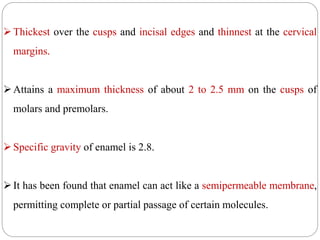 Thickest over the cusps and incisal edges and thinnest at the cervical
margins.
Attains a maximum thickness of about 2 to 2.5 mm on the cusps of
molars and premolars.
Specific gravity of enamel is 2.8.
It has been found that enamel can act like a semipermeable membrane,
permitting complete or partial passage of certain molecules.
 
