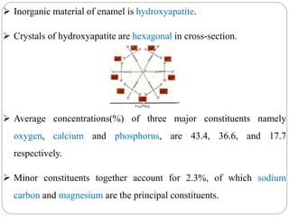  Inorganic material of enamel is hydroxyapatite.
 Crystals of hydroxyapatite are hexagonal in cross-section.
 Average concentrations(%) of three major constituents namely
oxygen, calcium and phosphorus, are 43.4, 36.6, and 17.7
respectively.
 Minor constituents together account for 2.3%, of which sodium
carbon and magnesium are the principal constituents.
 