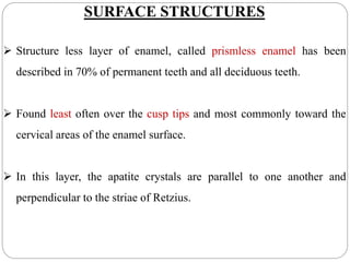 SURFACE STRUCTURES
 Structure less layer of enamel, called prismless enamel has been
described in 70% of permanent teeth and all deciduous teeth.
 Found least often over the cusp tips and most commonly toward the
cervical areas of the enamel surface.
 In this layer, the apatite crystals are parallel to one another and
perpendicular to the striae of Retzius.
 