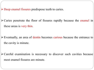 Deep enamel fissures predispose teeth to caries.
Caries penetrate the floor of fissures rapidly because the enamel in
these areas is very thin.
Eventually, an area of dentin becomes carious because the entrance to
the cavity is minute.
Careful examination is necessary to discover such cavities because
most enamel fissures are minute.
 