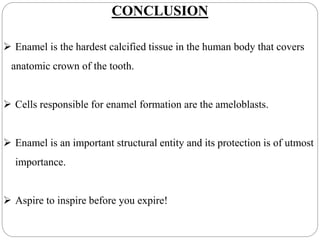 CONCLUSION
 Enamel is the hardest calcified tissue in the human body that covers
anatomic crown of the tooth.
 Cells responsible for enamel formation are the ameloblasts.
 Enamel is an important structural entity and its protection is of utmost
importance.
 Aspire to inspire before you expire!
 