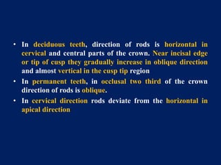Apical Direction Enamel | PPTX
