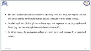 • The most evident clinical characteristics of young teeth that have just erupted into the
oral cavity are the perikymata that run around the tooth over its entire surface.
• In adult teeth the clinical picture reflects wear and exposure to varying mechanical
forces (e.g., toothbrushing habits and abrasive foodstuffs).
• In other words, the perikymata ridges are worn away and replaced by a scratched
pattern.
12/19/2023 79
 