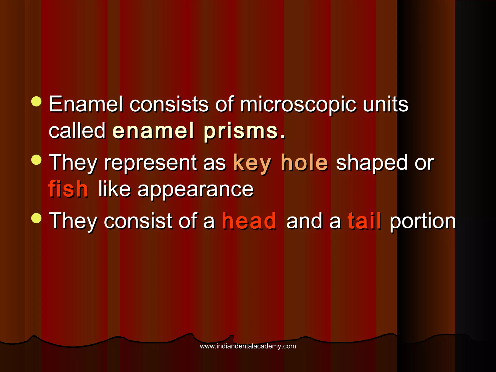  Enamel consists of microscopic units

called enamel prisms.
 They represent as key hole shaped or
fish like appearance
 They consist of a head and a tail portion

www.indiandentalacademy.com

 