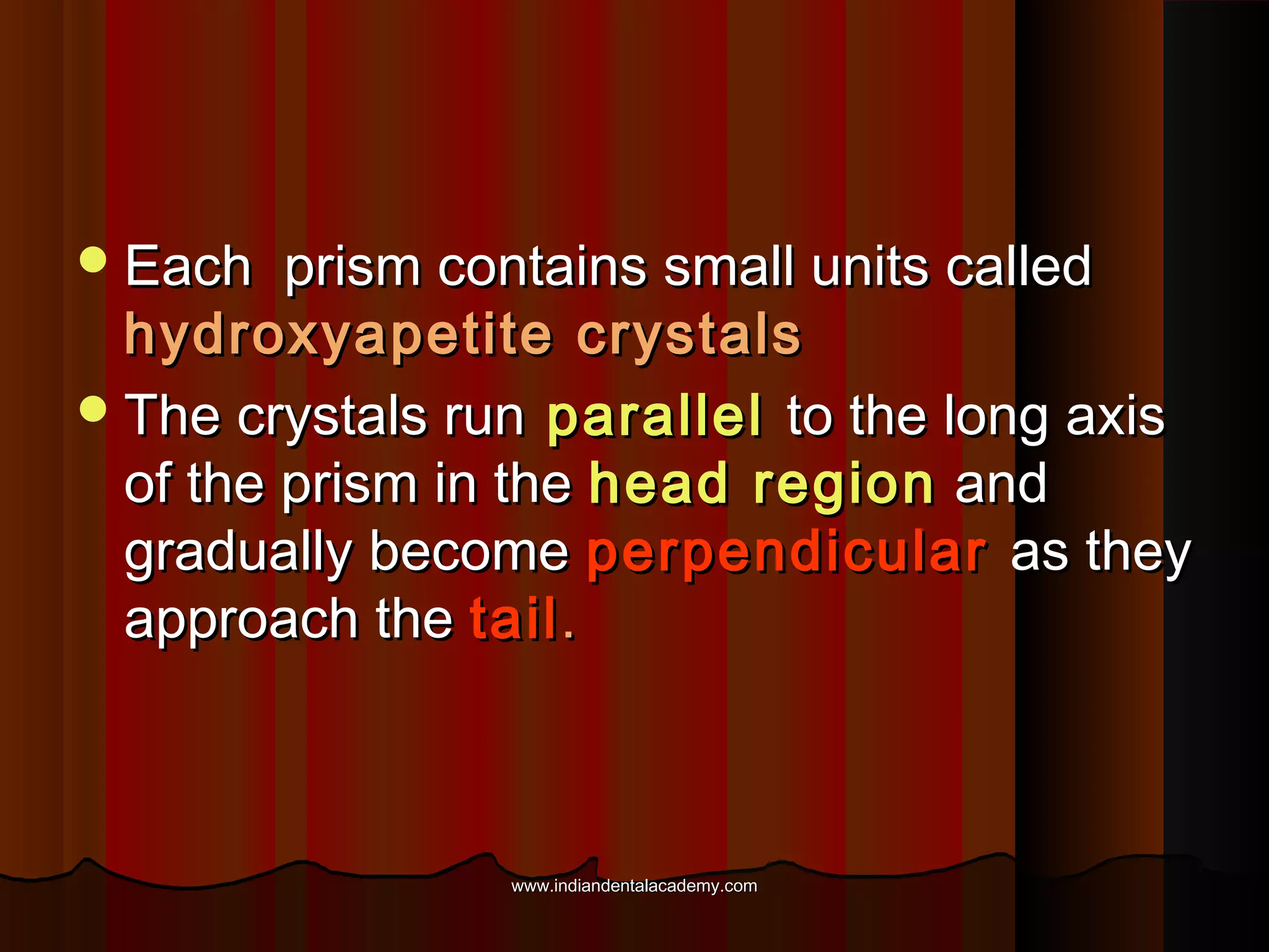  Each

prism contains small units called
hydroxyapetite crystals
 The crystals run parallel to the long axis
of the prism in the head region and
gradually become perpendicular as they
approach the tail .

www.indiandentalacademy.com

 