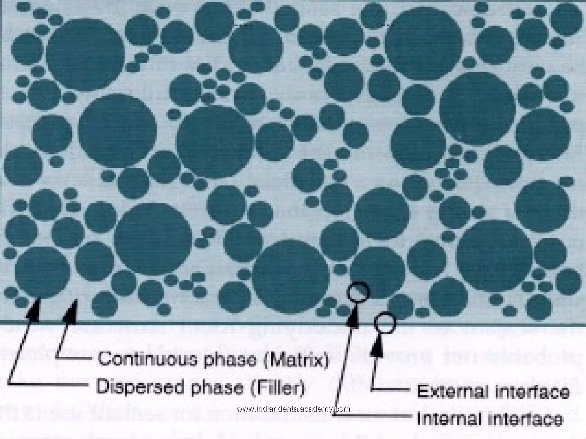  PremmiadAbdul Wahabcompenents of com

www.indiandentalacademy.com

 