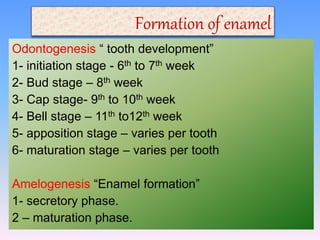 Enamel presentation. prepared by mohammed yahia | PPTX
