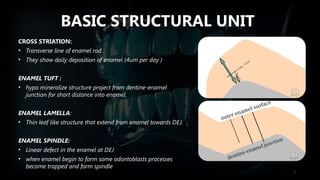 Sharp Linear Defect Tooth Enamel Presentation Slide made with PowerPoint | PPTX