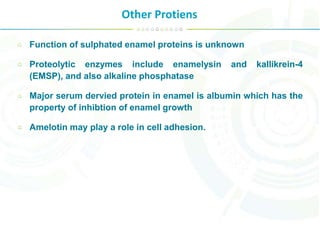 Other Protiens
Function of sulphated enamel proteins is unknown
Proteolytic enzymes include enamelysin and kallikrein-4
(EMSP), and also alkaline phosphatase
Major serum dervied protein in enamel is albumin which has the
property of inhibtion of enamel growth
Amelotin may play a role in cell adhesion.
 
