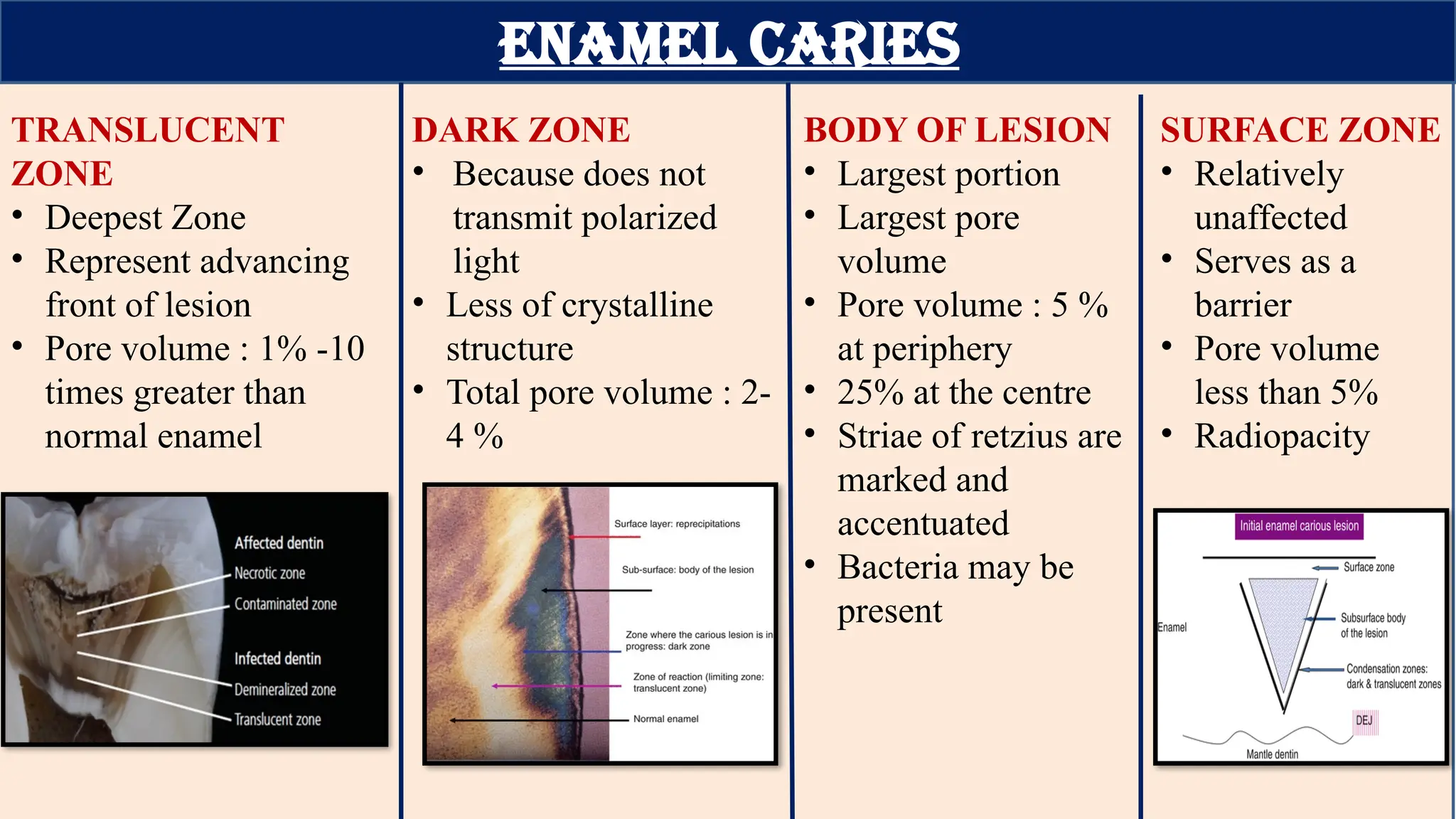 Enamel Seminar - Anu presented.pptx...... | PPTX