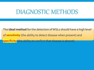 DIAGNOSTIC METHODS
The ideal method for the detection ofWSLs should have a high level
of sensitivity (the ability to detect disease when present) and
specificity (the ability to confirm that disease is absent).
 