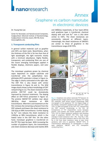 Graphene Position Paper (E-Nano Newsletter Special Issue)