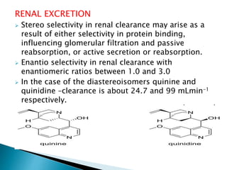 RENAL EXCRETION
 Stereo selectivity in renal clearance may arise as a
result of either selectivity in protein binding,
influencing glomerular filtration and passive
reabsorption, or active secretion or reabsorption.
 Enantio selectivity in renal clearance with
enantiomeric ratios between 1.0 and 3.0
 In the case of the diastereoisomers quinine and
quinidine –clearance is about 24.7 and 99 mLmin-1
respectively.
 