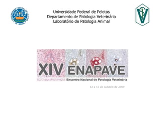 Universidade Federal de Pelotas Departamento de Patologia Veterinária Laboratório de Patologia Animal 12 a 16 de outubro de 2009 