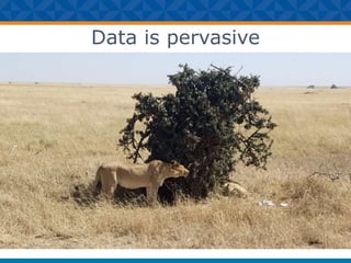 Data is pervasive
 