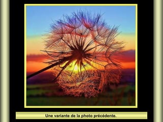 Une variante de la photo précédente.
 