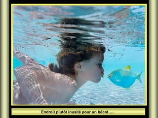 Endroit plutôt inusité pour un bécot…..
 