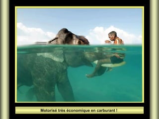 Motorisé très économique en carburant !

 