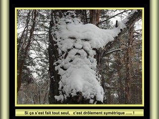 Si ça s’est fait tout seul, c’est drôlement symétrique ….. !

 