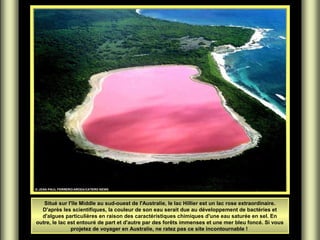 Situé sur l'île Middle au sud-ouest de l'Australie, le lac Hillier est un lac rose extraordinaire.
D'après les scientifiques, la couleur de son eau serait due au développement de bactéries et
d'algues particulières en raison des caractéristiques chimiques d'une eau saturée en sel. En
outre, le lac est entouré de part et d'autre par des forêts immenses et une mer bleu foncé. Si vous
projetez de voyager en Australie, ne ratez pas ce site incontournable !

 