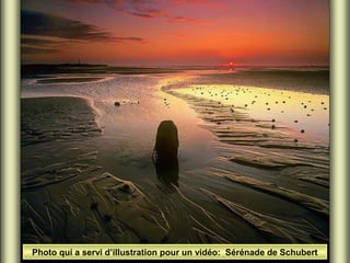 Photo qui a servi d’illustration pour un vidéo: Sérénade de Schubert

 