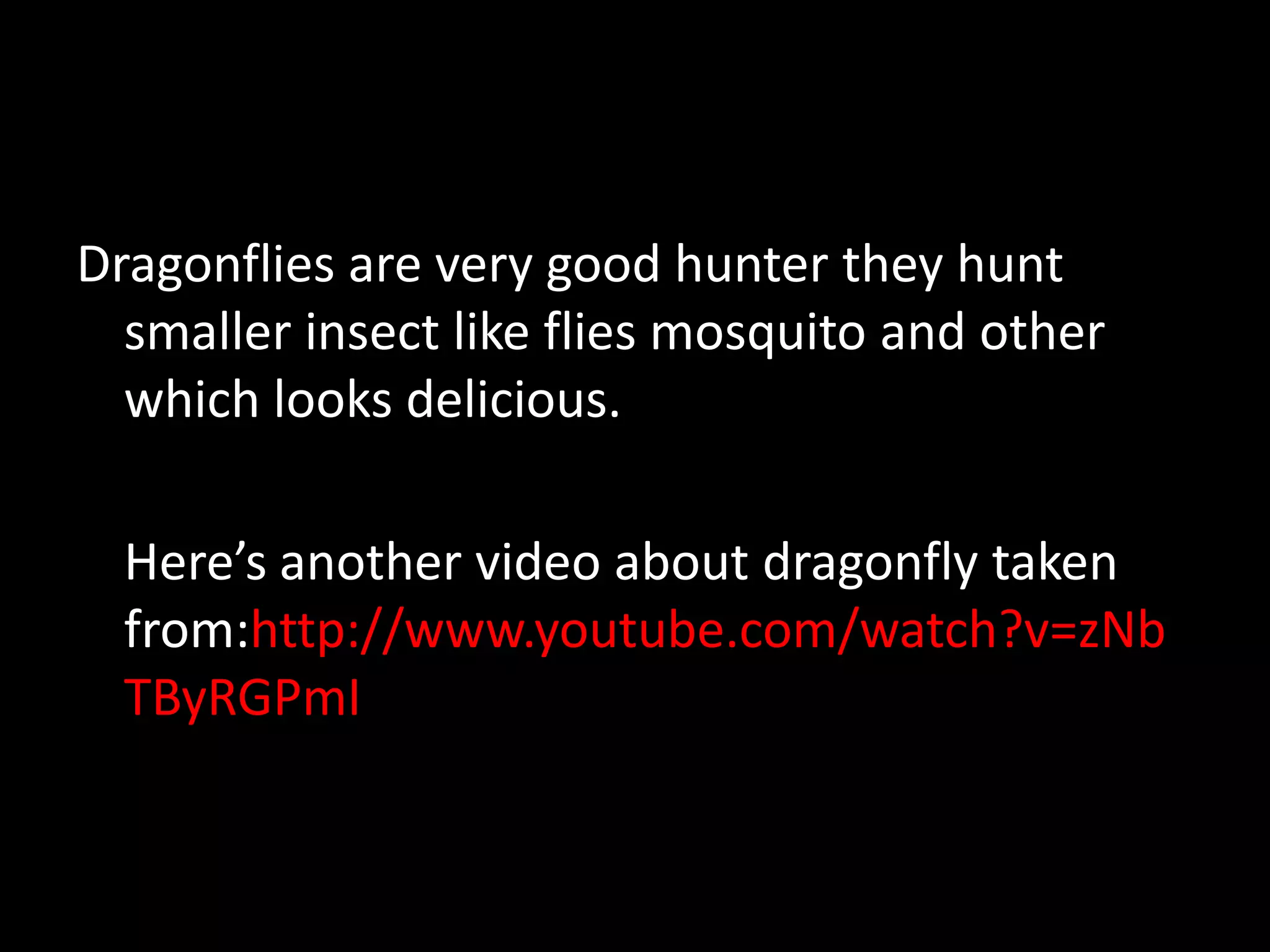 Dragonflies are very good hunter they hunt
smaller insect like flies mosquito and other
which looks delicious.
Here’s another video about dragonfly taken
from:http://www.youtube.com/watch?v=zNb
TByRGPmI
 