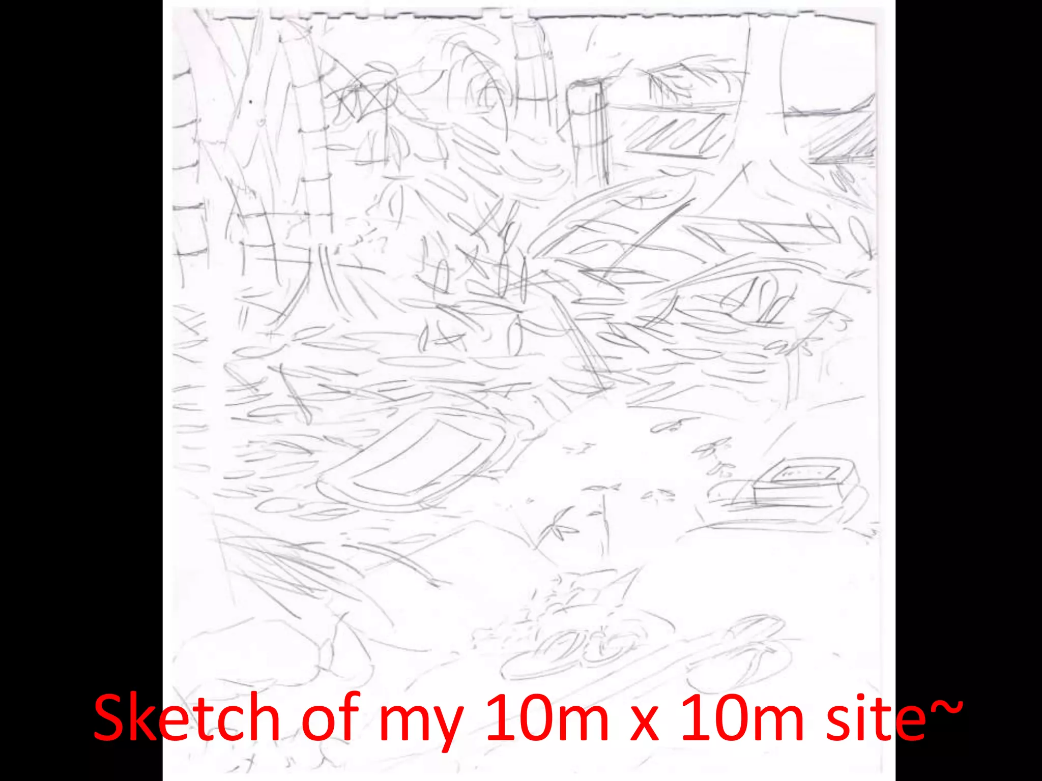 Sketch of my 10m x 10m site~
 