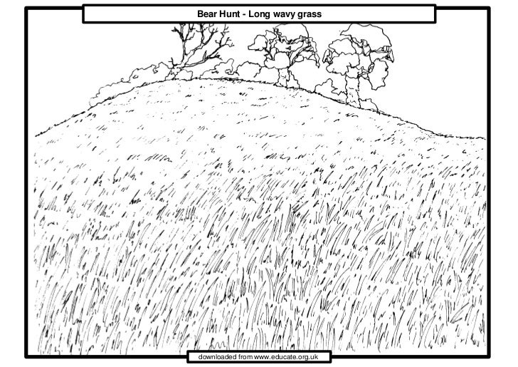 We're going on a Bear Hunt. long_grass