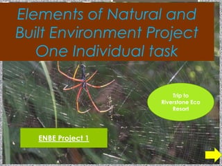 Elements of Natural and
Built Environment Project
One Individual task
ENBE Project 1
Trip to
Riverstone Eco
Resort
 