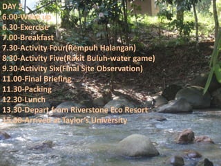 DAY 2
6.00-Wake up
6.30-Exercise
7.00-Breakfast
7.30-Activity Four(Rempuh Halangan)
8.30-Activity Five(Rakit Buluh-water game)
9.30-Activity Six(Final Site Observation)
11.00-Final Briefing
11.30-Packing
12.30-Lunch
13.30-Depart from Riverstone Eco Resort
15.00-Arrived at Taylor’s University
 