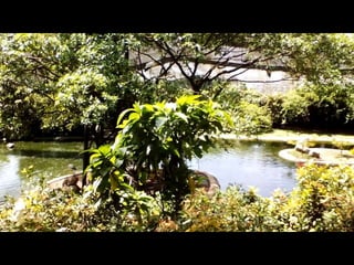 Enbe Project 1 presentation slides(powerpoint)