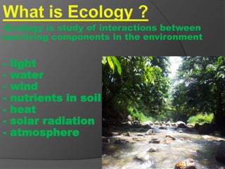 -Ecology is study of interactions between
non-living components in the environment
- light
- water
- wind
- nutrients in soil
- heat
- solar radiation
- atmosphere
 
