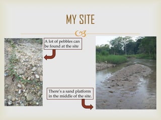 
MY SITE
A lot of pebbles can
be found at the site
There’s a sand platform
in the middle of the site.
 