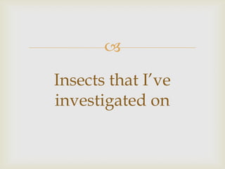 
Insects that I’ve
investigated on
 