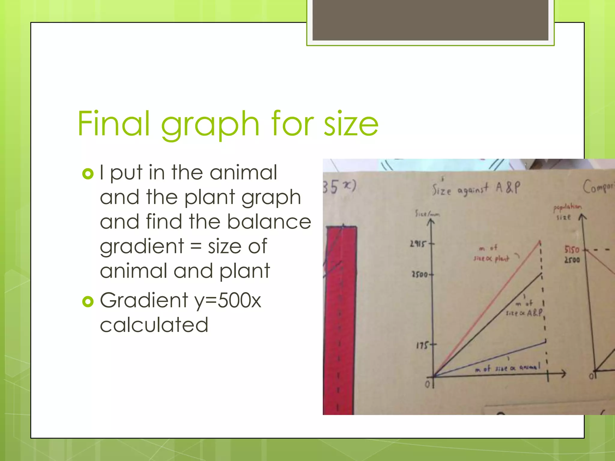 Final graph for size
 I put in the animal
and the plant graph
and find the balance
gradient = size of
animal and plant
 Gradient y=500x
calculated
 